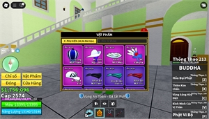  - trái rocket